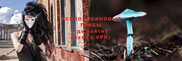 шишки Волосово