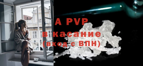 стаф Володарск