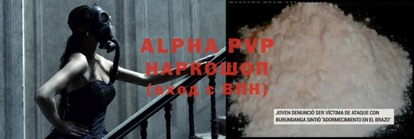 стаф Володарск