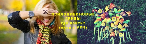 стаф Володарск