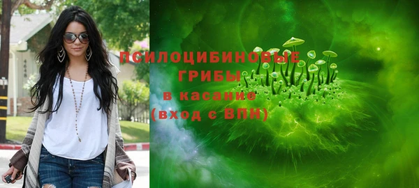 стаф Володарск