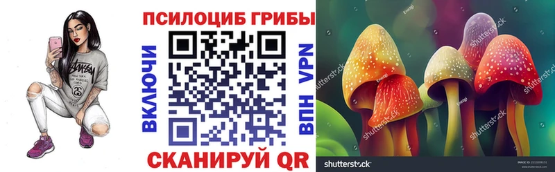 Галлюциногенные грибы Magic Shrooms  купить наркотики цена  Владимир 